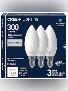 Bright White B10 LED Bulbs (3-Pack)